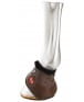 carbon-air-heel-zandona-4d7.jpg