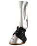 carbon-air-heel-zandona-122.jpg