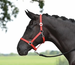 Kantar nylonowy BUSSE "Hansa" 24h