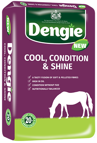Sieczka Dengie Cool Condition & Shine