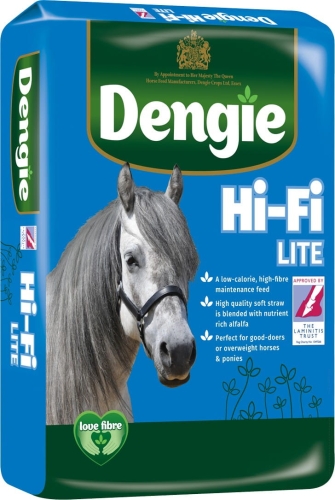 Sieczka-Dengie-Hi-Fi-Lite