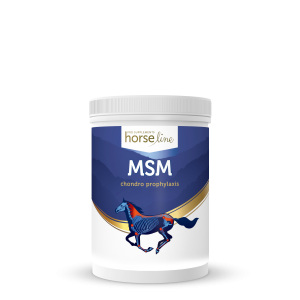 MSM HorseLinePRO "MSM" 700g  24h