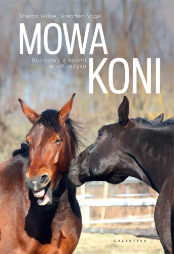 mowa-koni_500-piks.jpg