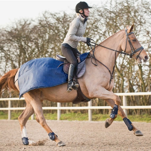 derka-treningowa-horze-avalanche-pro-300d-250g