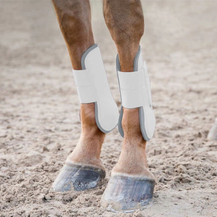 ochraniacze-przednie-tendon-horze-chicago-tendon