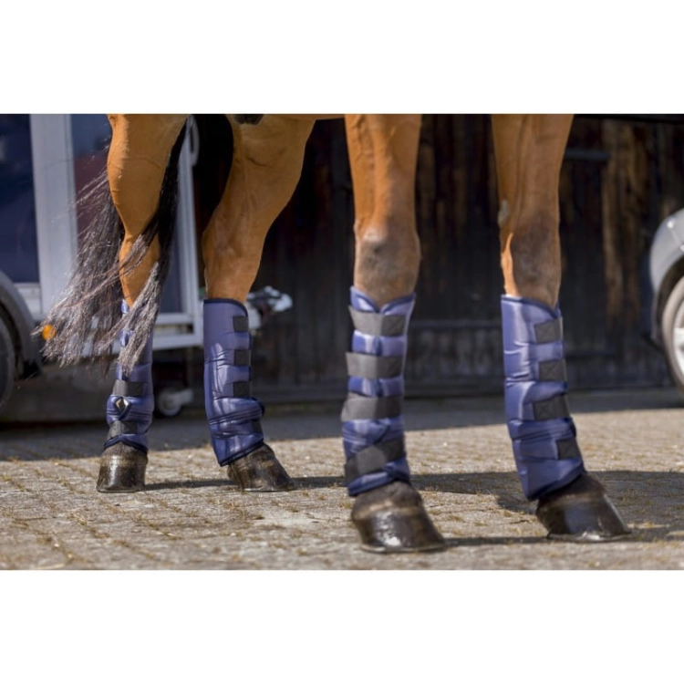riding-world-low-shipping-boots (4).jpg