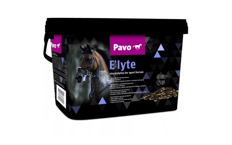 pavo-elyte-elektrolity-dla-koni