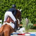oficerki-horze-winslow-black