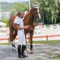 oficerki-horze-winslow-black