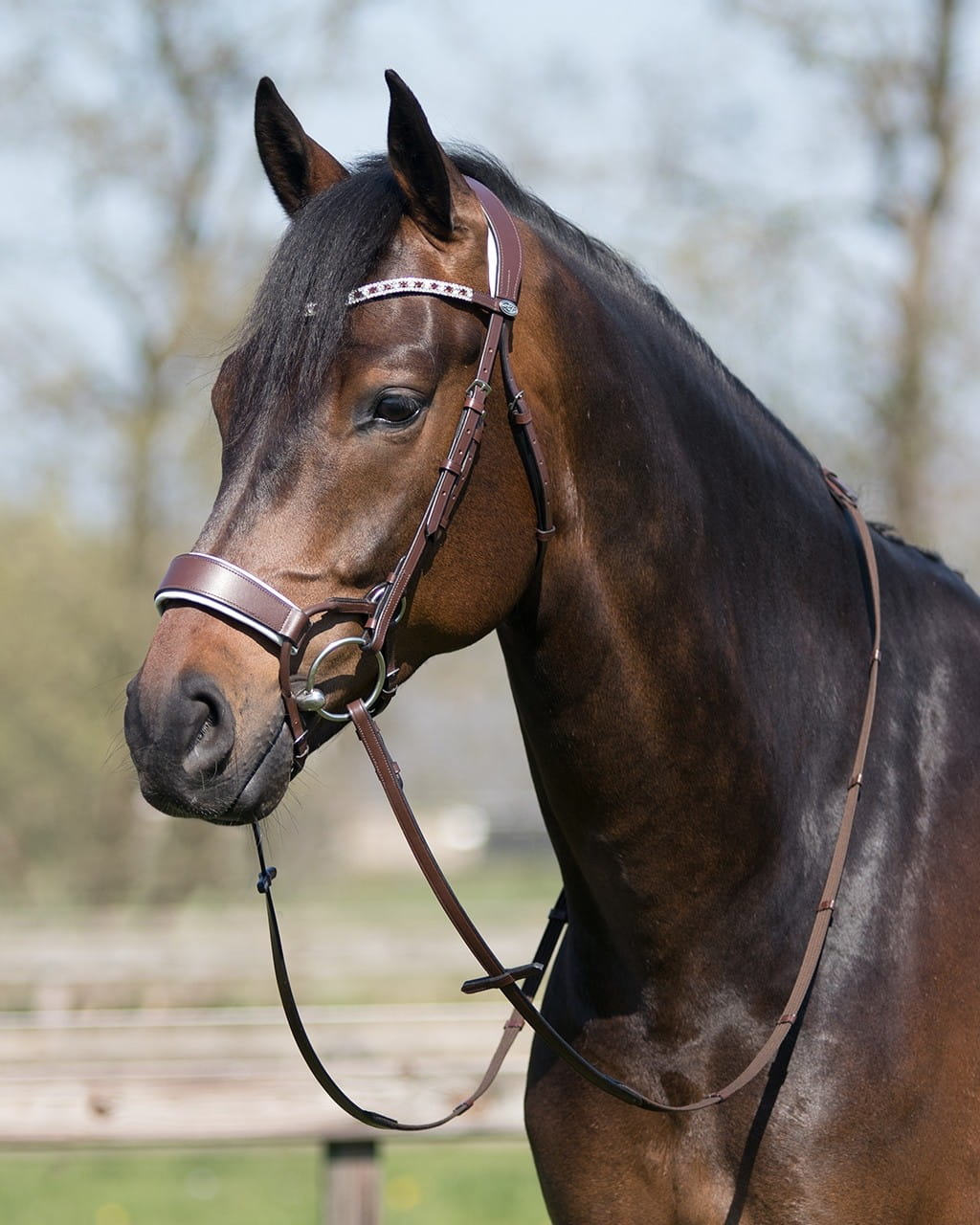 Ogłowie anatomiczne QHP Q-Cross Ostara