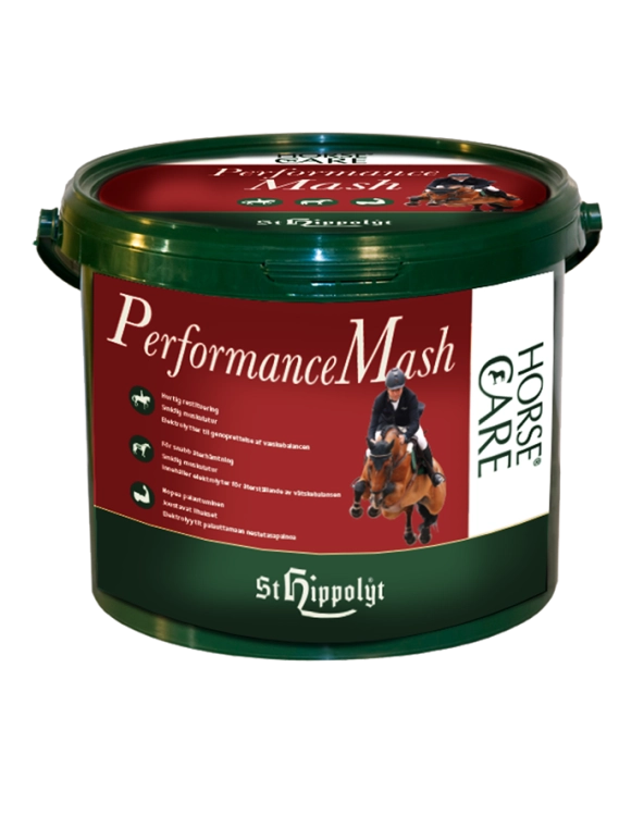 mesz St. Hippolyt Irish Mash Performance