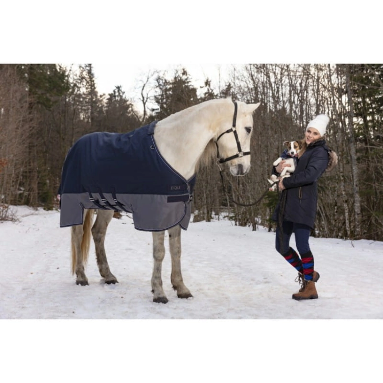 equitheme-tyrex-600-d-turnout-rug-with-belly-belt (1).jpg