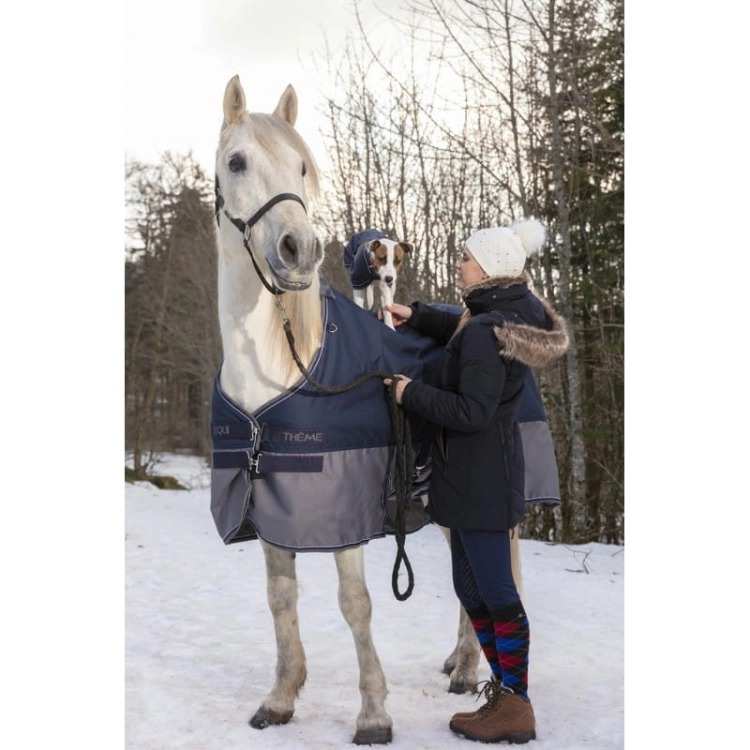equitheme-tyrex-600-d-turnout-rug-with-belly-belt (2).jpg