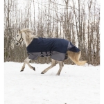 equitheme-tyrex-600-d-turnout-rug-with-belly-belt (3).jpg