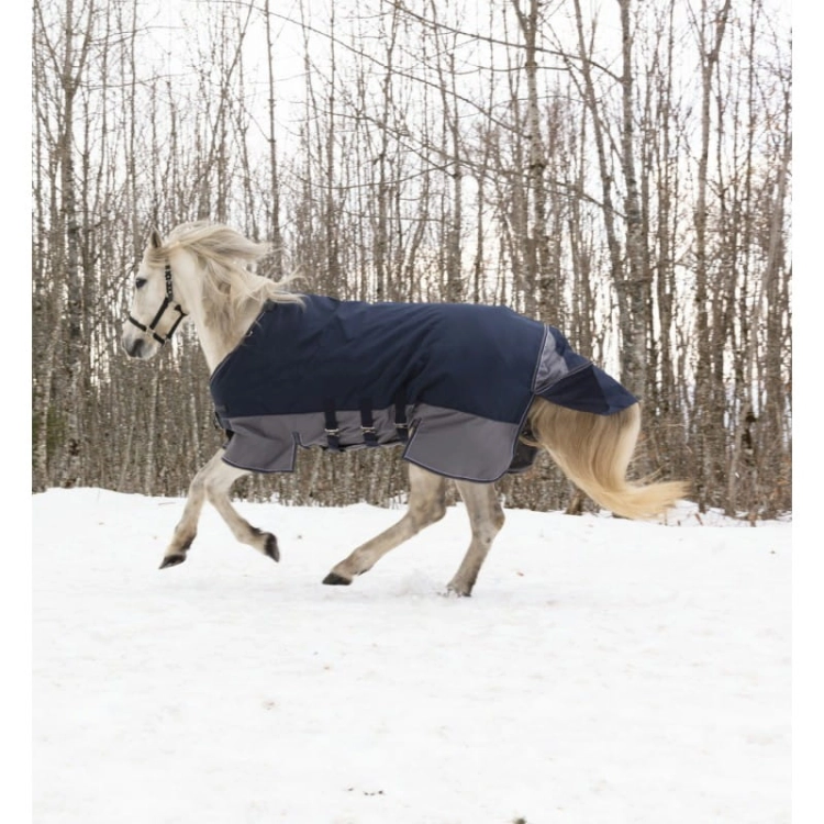 equitheme-tyrex-600-d-turnout-rug-with-belly-belt (3).jpg