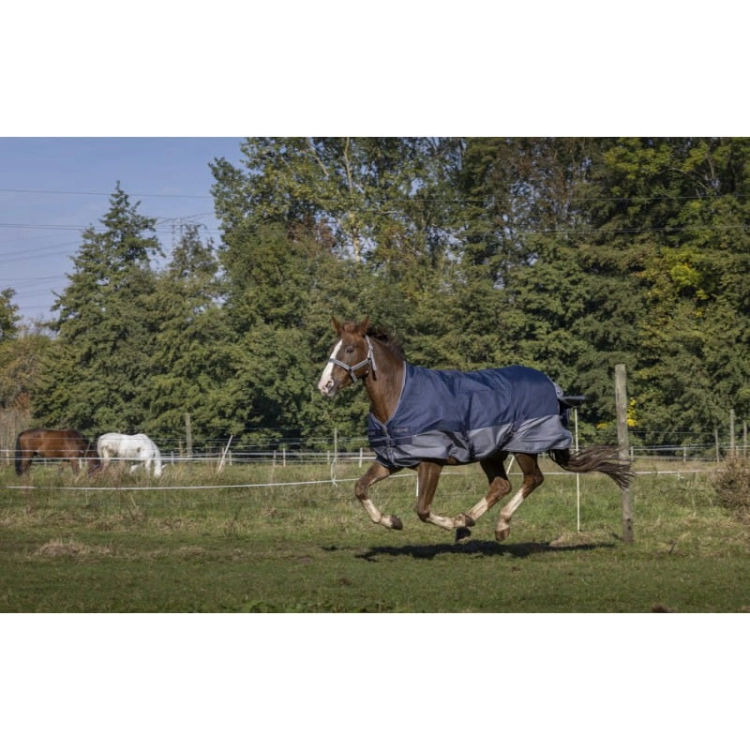 Derka-padokowa-Equi-Theme-TYREX-600-D-high-neck