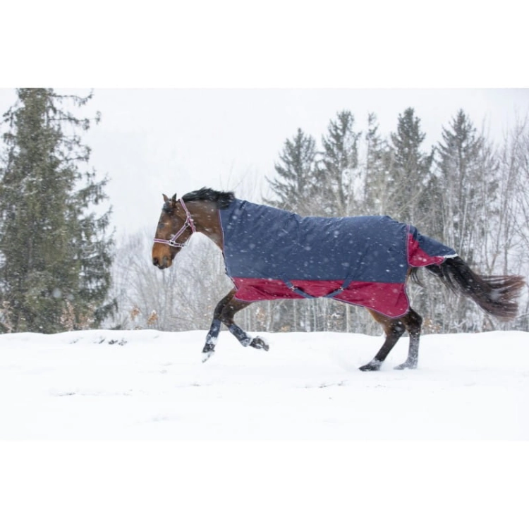 Derka-padokowa-Equi-Theme-TYREX-1200D-50g