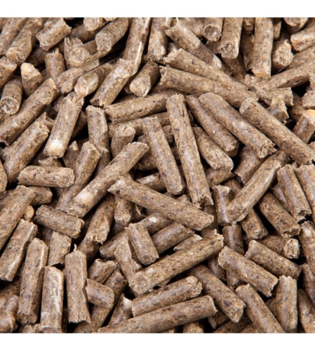 Eggersmann-horse-pony-vollkorn-pellets.jpg