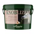 czosnek St. Hippolyt Knoblizem