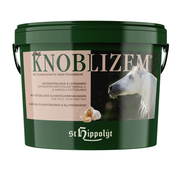 czosnek St. Hippolyt Knoblizem