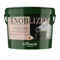 czosnek St. Hippolyt Knoblizem