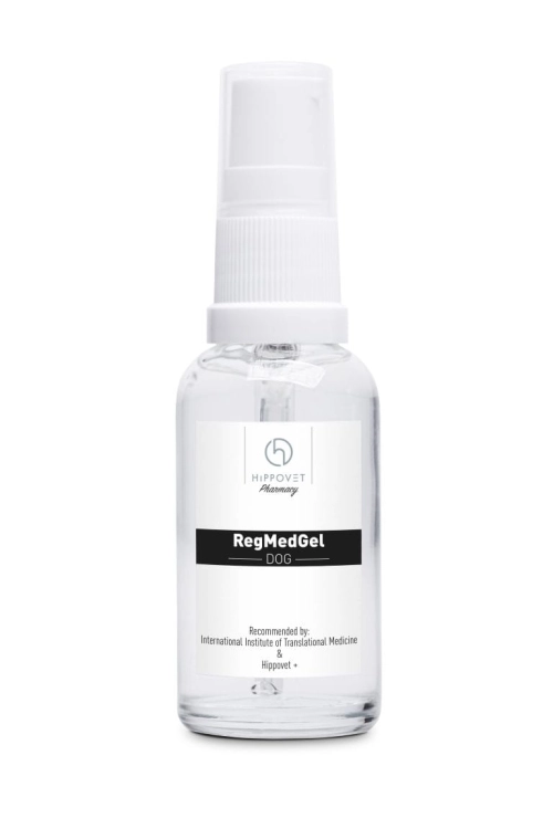 żel regeneracyjny na blizny i rany HIPPOVET RegMed Gel Dog