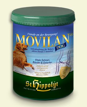 Movilan-Dog.jpg