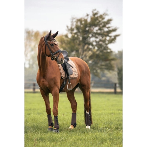 czaprak skokowy BACK ON TRACK Haze Collection