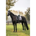 czaprak skokowy BACK ON TRACK Haze Collection