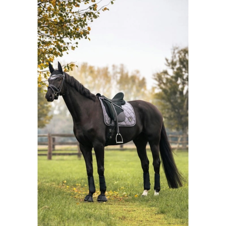 czaprak skokowy BACK ON TRACK Haze Collection