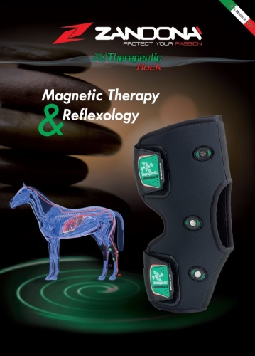 ZANDONA Ochraniacz magnetyczny na staw skokowy Therapeutic Air Hock