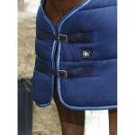 Derka-stajenna-Riding-World-Stable