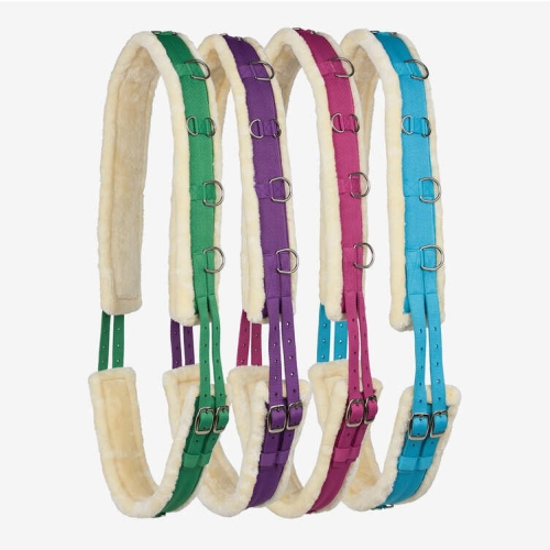 pas-do-lonzowania-horze