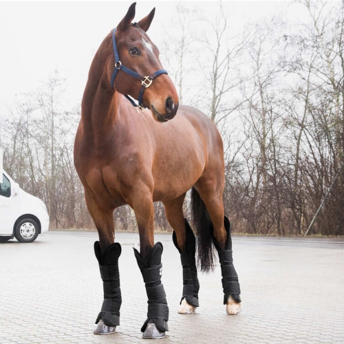 ochraniacze-transportowe-horze-transport-boots