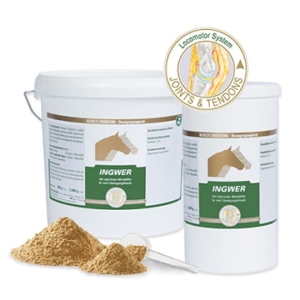 Imbir na stawy EquiPur "Ingwer" 2 kg