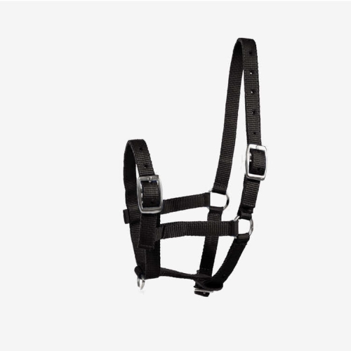 kantar-zrebiecy-horze-foal-halter