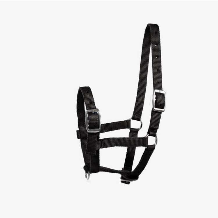 kantar-zrebiecy-horze-foal-halter