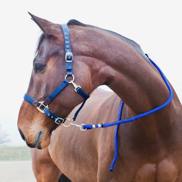 uwiaz-horse-lead
