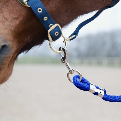 uwiaz-horse-lead