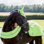 odblaskowy-napiersnik-horze-reflective-harness