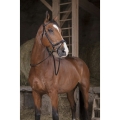 Norton-wodze-skorzane-Pro-II-16-mm