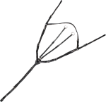 Napierśnik KenTaur "Mons Classic"
