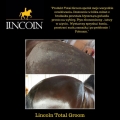 suchy-szampon-lincoln-total-groom