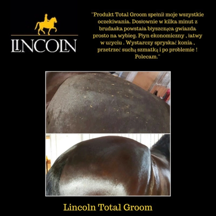 suchy-szampon-lincoln-total-groom
