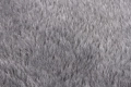 81308+10.jpg