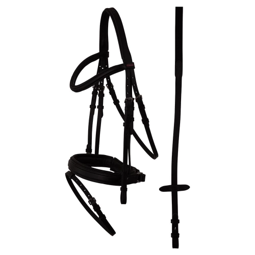 Premiere-oglowie-Toulon