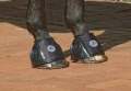 Kalosze-busse-sturdy