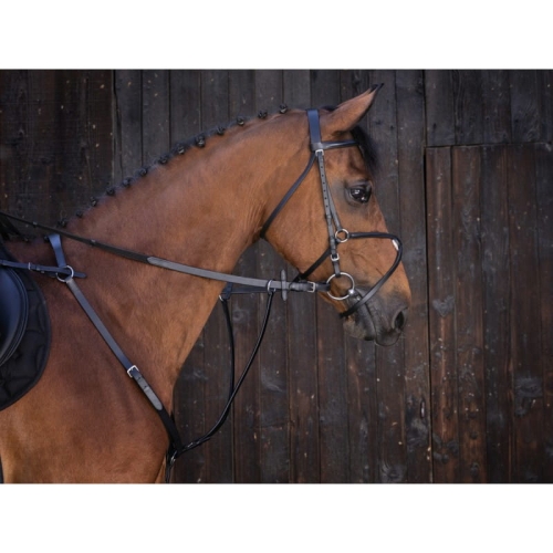 riding-world-running-martingale (2).jpg