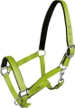 York kantar Fluo