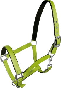 Kantar York "Fluo"